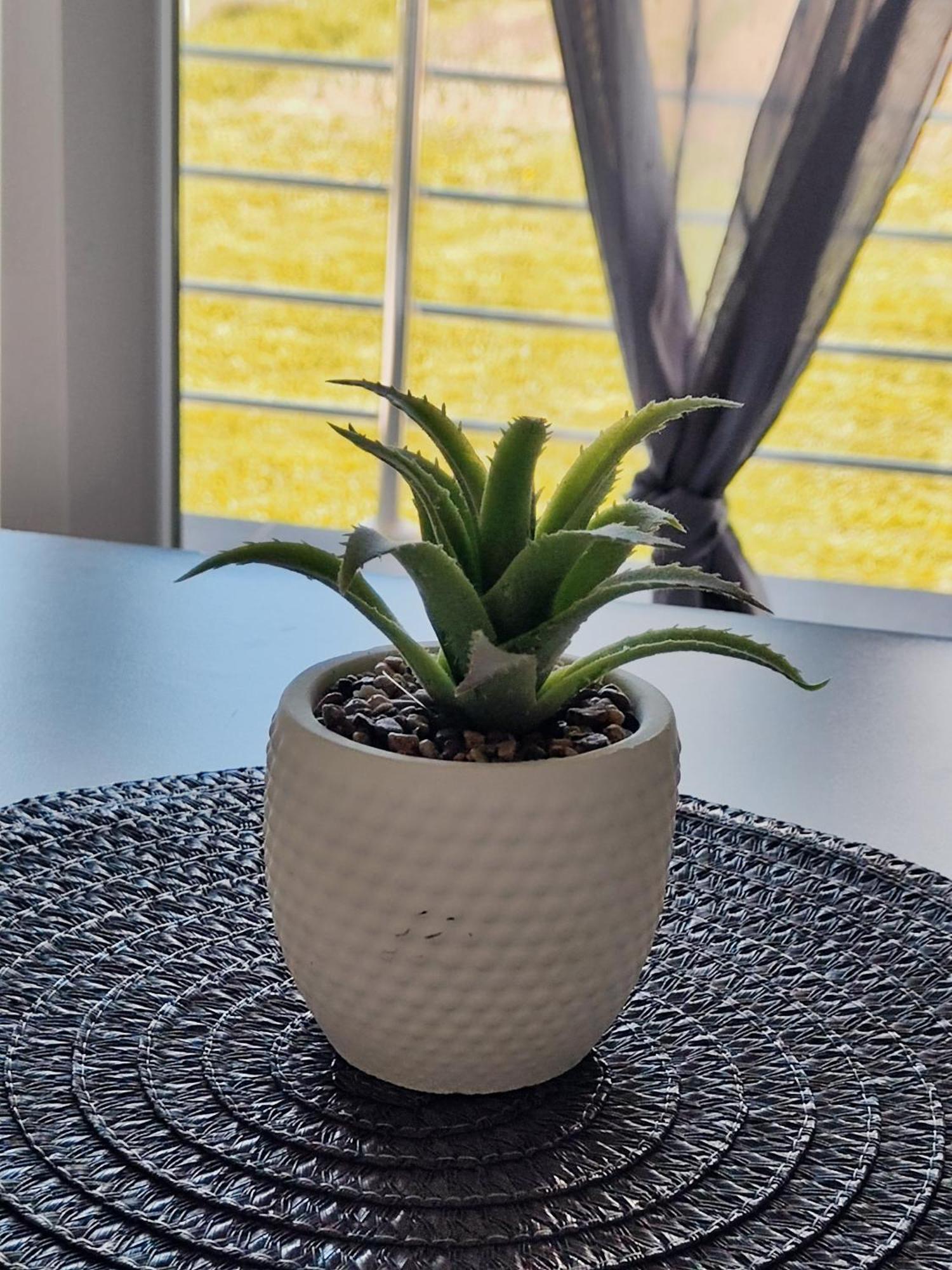 Apartman Marija Perusic Bagian luar foto